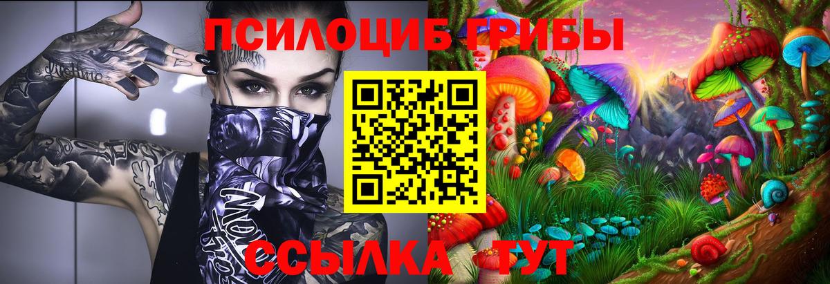 Псилоцибиновые грибы Psilocybe Владикавказ