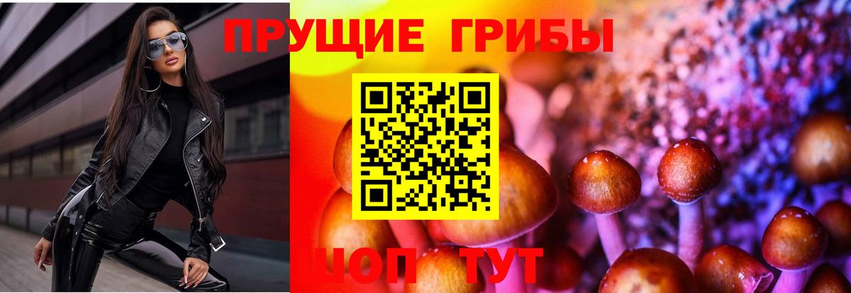 Владикавказ  Галлюциногенные грибы MAGIC MUSHROOMS  купить   Псилоцибиновые грибы Magic Shrooms  Вход с VPN 
